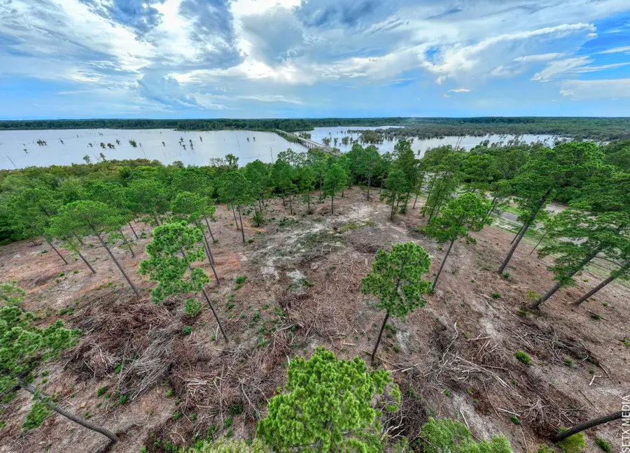 22157 Fm 83, Broaddus, TX 75929 - Image #3