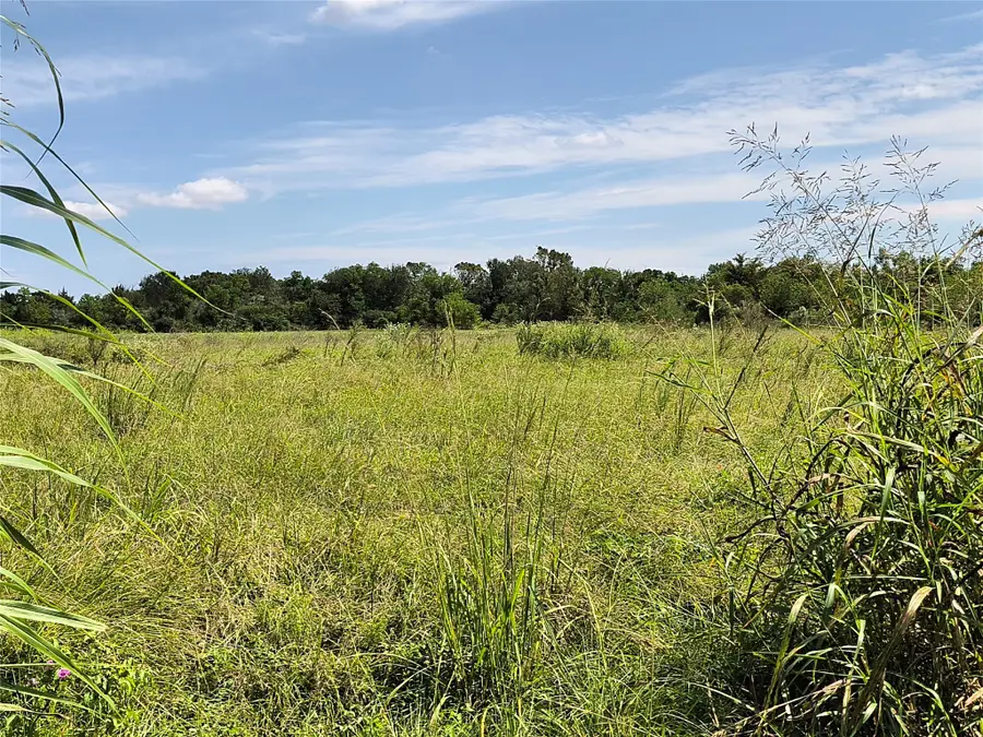 20560 Cochran Road, Hempstead, TX 77445 - Image #3