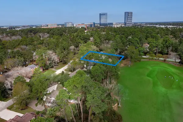 2 Box Turtle Lane, The Woodlands, TX 77380