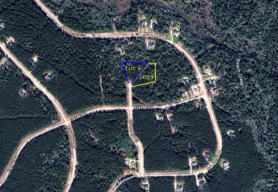 15660 Cricket Creek Court, Willis, TX 77378 - #3