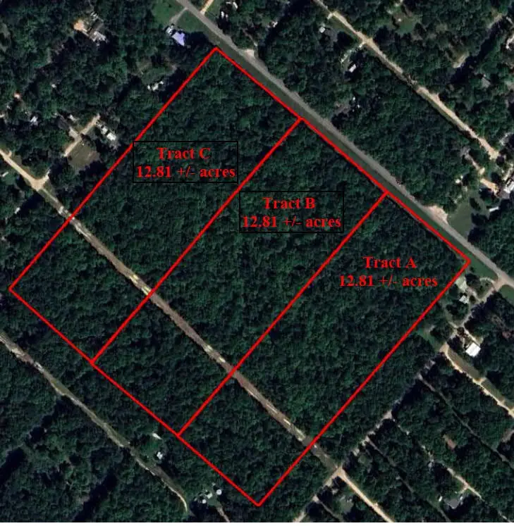 Tract C Mangum Road, Livingston, TX 77351 - Image #2