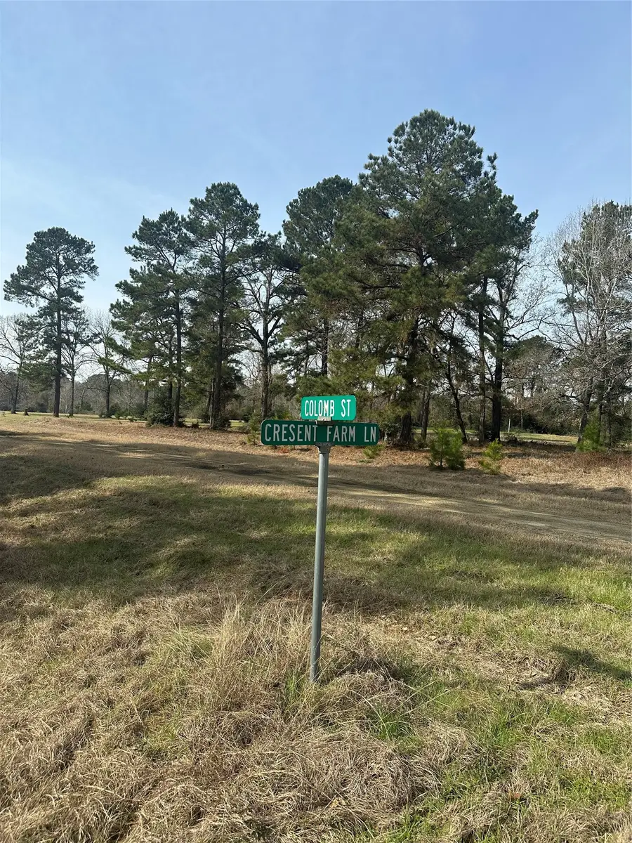 Lot 25 Colomb Street, Trinity, TX 75862 - #3
