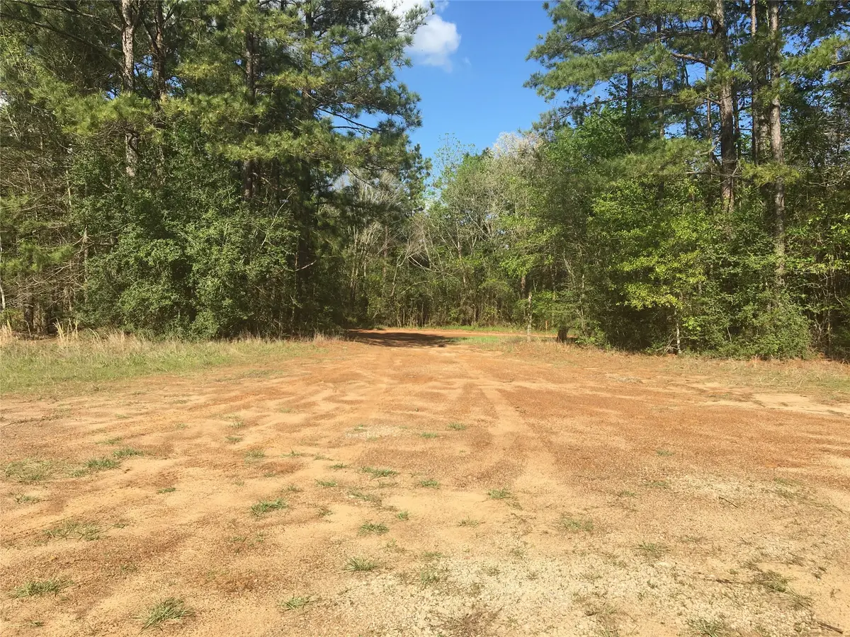 Lot 13 County Road 175, Garrison, TX 75946 - Image #1