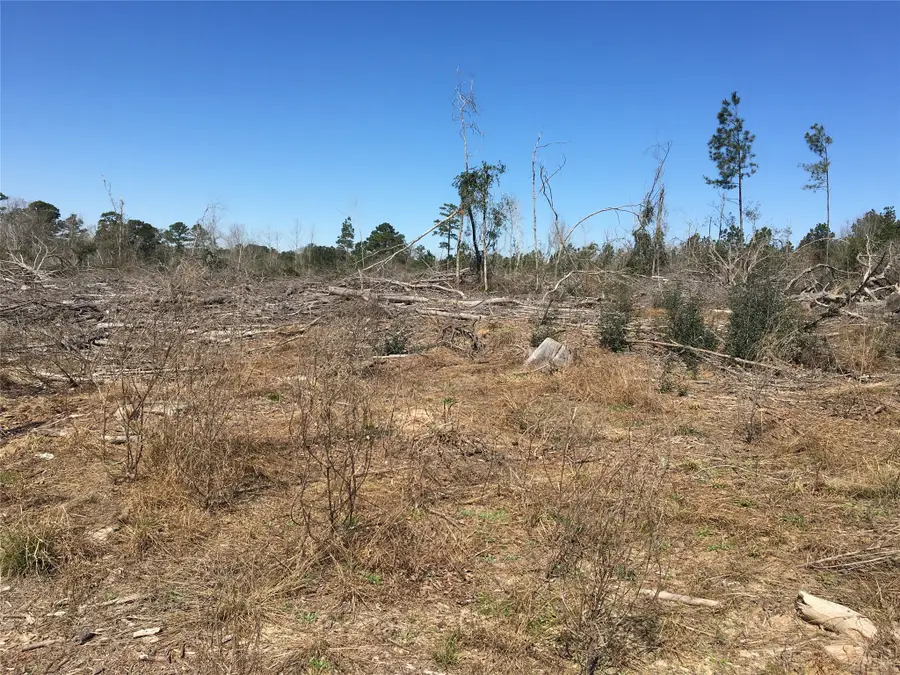 Lot 13 County Road 175, Garrison, TX 75946 - Image #3