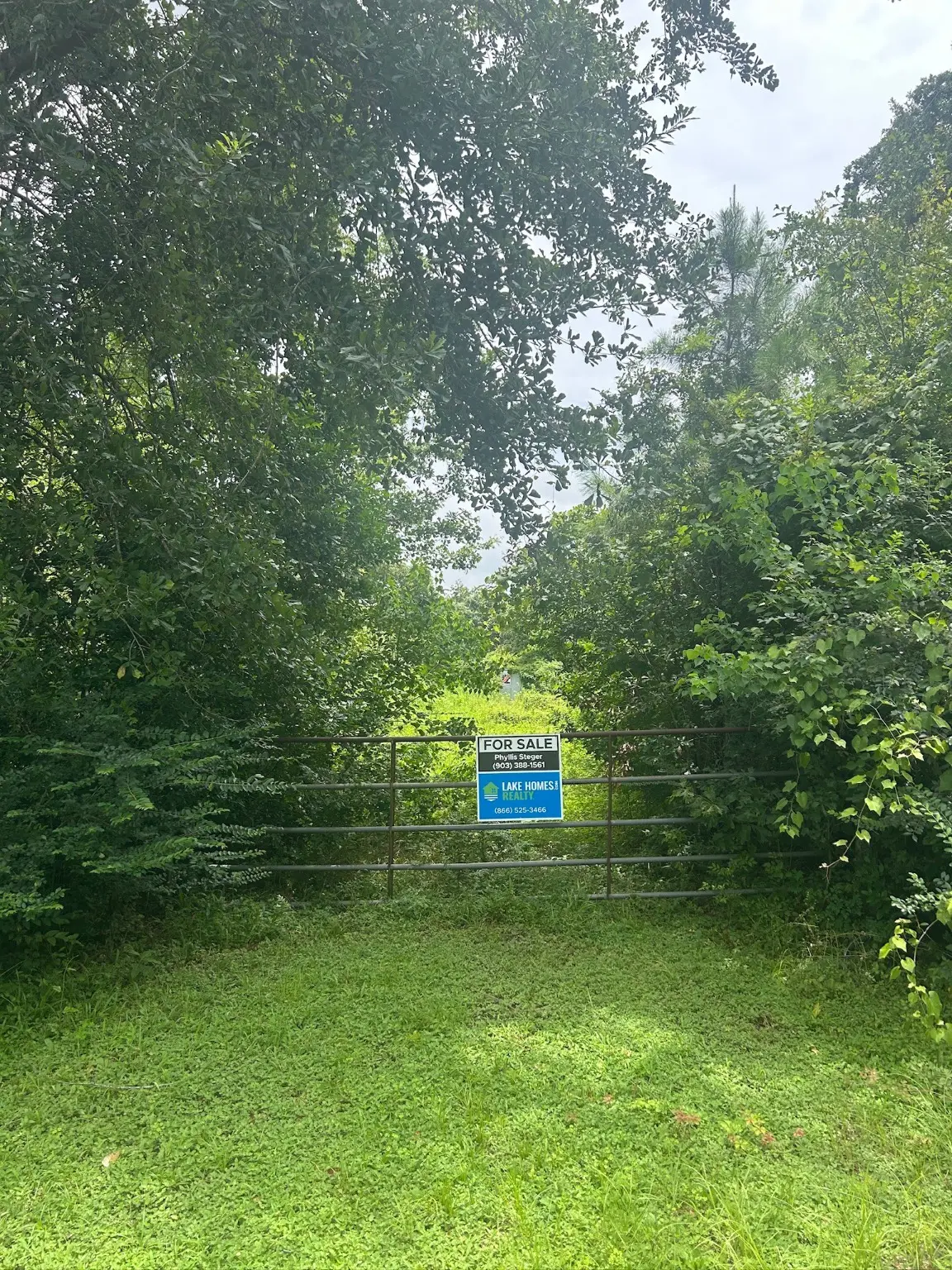 11919 Hickory Wood Street, Pinehurst, TX 77362 - Image #1