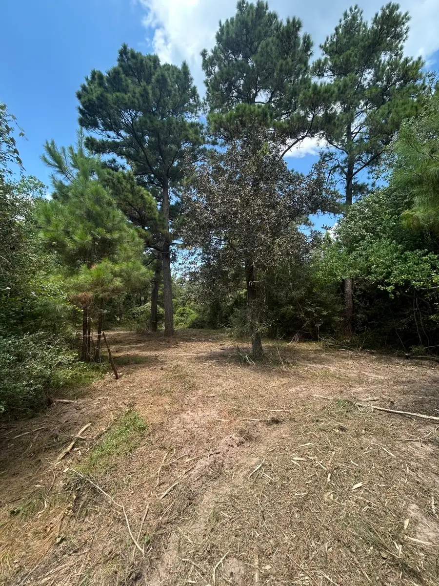 11919 Hickory Wood Street, Pinehurst, TX 77362 - Image #3