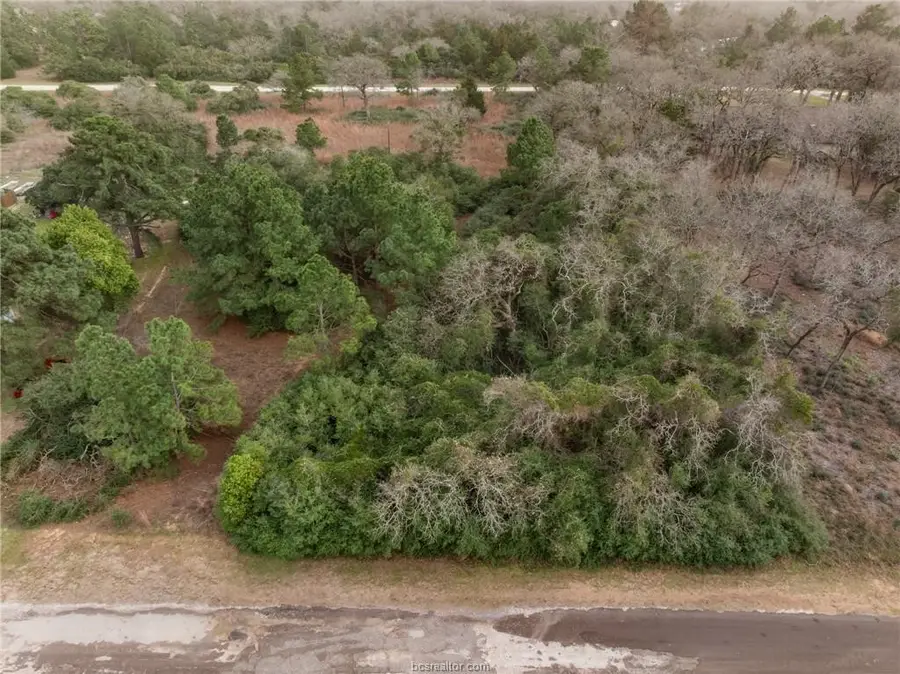 Lot 18 Jamaica, Hilltop Lakes, TX 77871 - Image #3