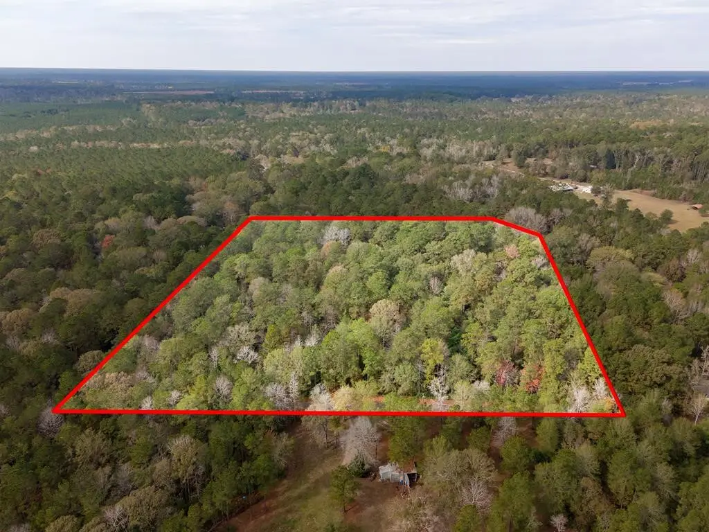 L18 John Keely Road, Zavalla, TX 75980 - #1