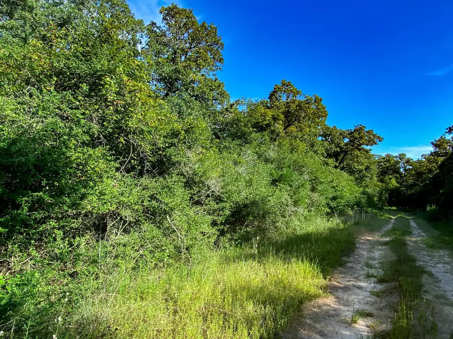 Lot 10 Ranch Road Dr Drive, Normangee, TX 77871 - Image #3