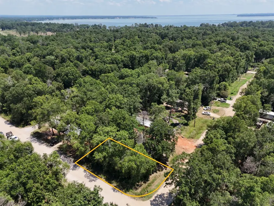 Lot 101 Ithica, Livingston, TX 77351 - Image #3