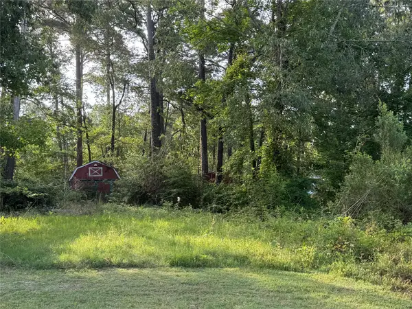 TBD Antilles Drive, Point Blank, TX 77364