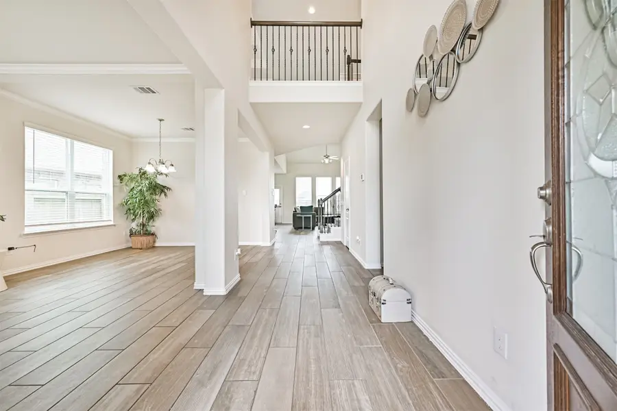 23213 Zinfandel Drive, Alvin, TX 77511 - #3