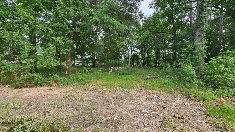 26750 & 26698 Peach Creek Drive, New Caney, TX 77357 - #2