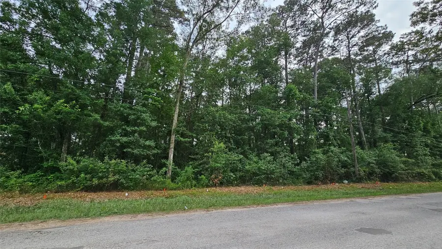 26750 & 26698 Peach Creek Drive, New Caney, TX 77357 - #3