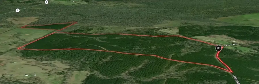 Parcel ID 30383 Fenley Flat, Pollok, TX 75969 - #2