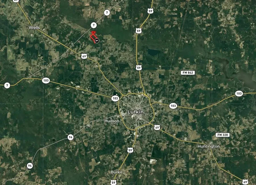 Parcel ID 30383 Fenley Flat, Pollok, TX 75969 - #3