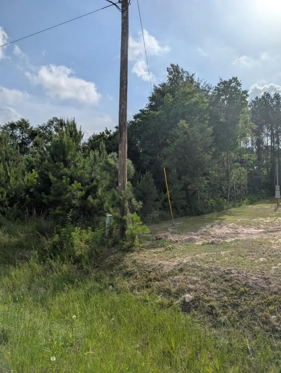 154 County Road 5008, Cleveland, TX 77327 - Image #2