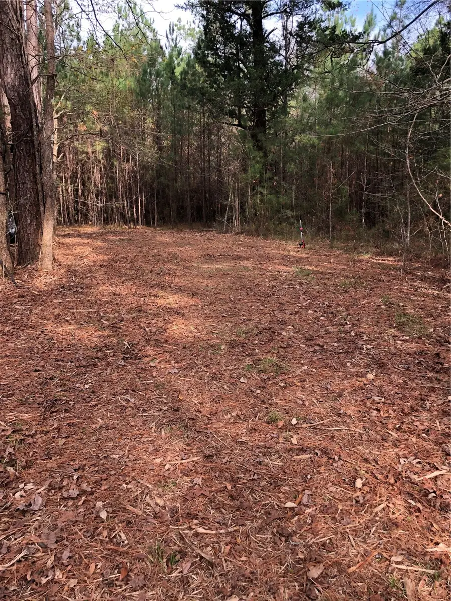 TBD 13.56 ACRES Pr 8725, Woodville, TX 75979 - Image #3