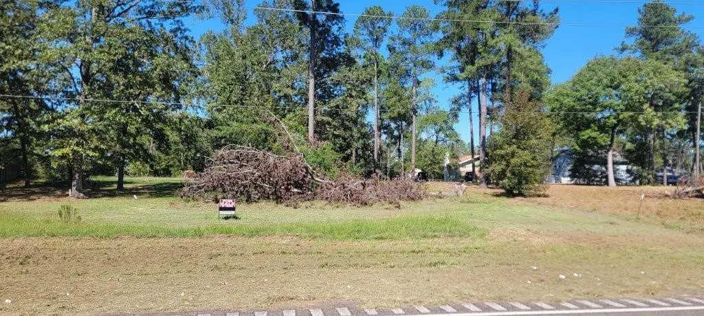 00 Palmetto Drive, Livingston, TX 77351 - #1