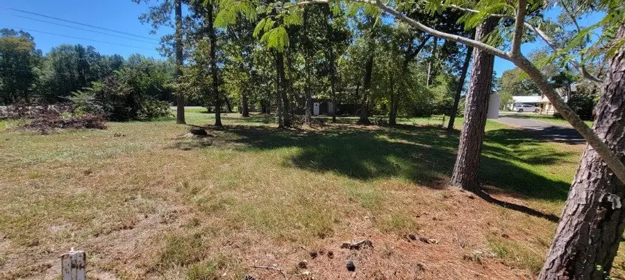 00 Palmetto Drive, Livingston, TX 77351 - #3