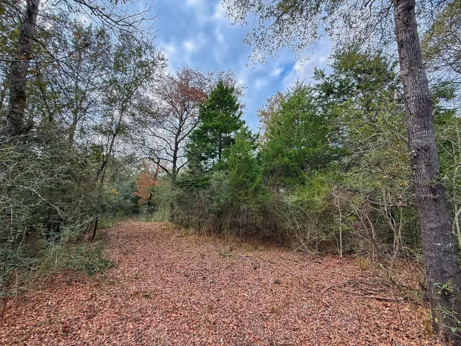 13 ac Highway 75 North, Buffalo, TX 75831 - Image #2