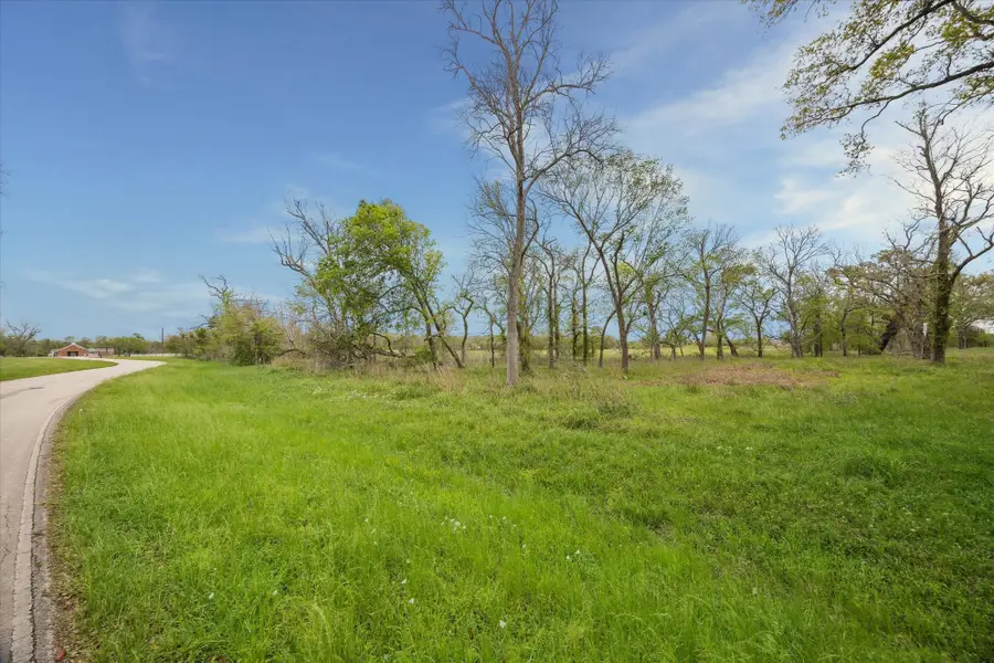 16219 Tankersley Drive, Rosharon, TX 77583 - #3