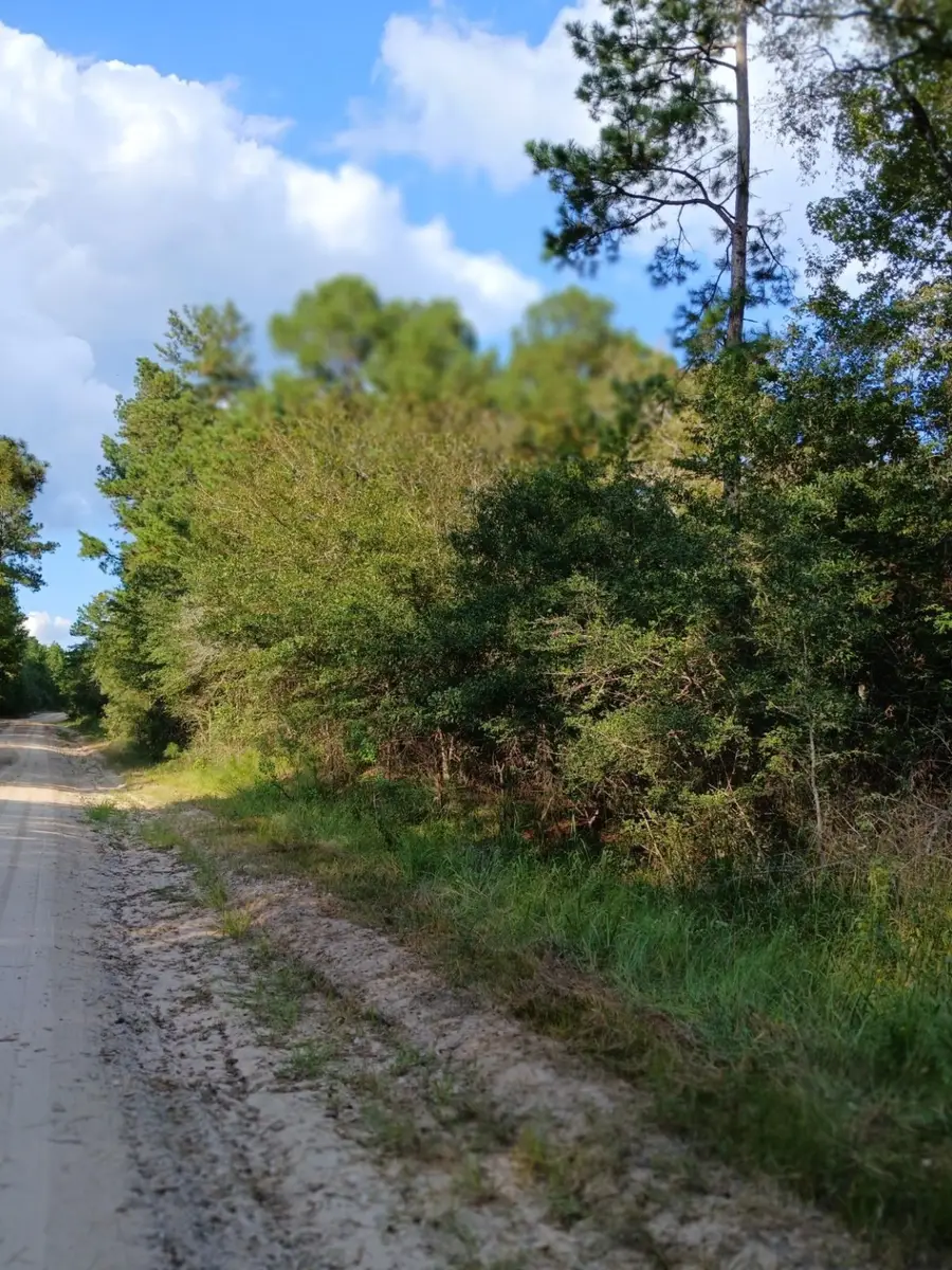 111 Bill Jones Road, Groveton, TX 75845 - Image #3