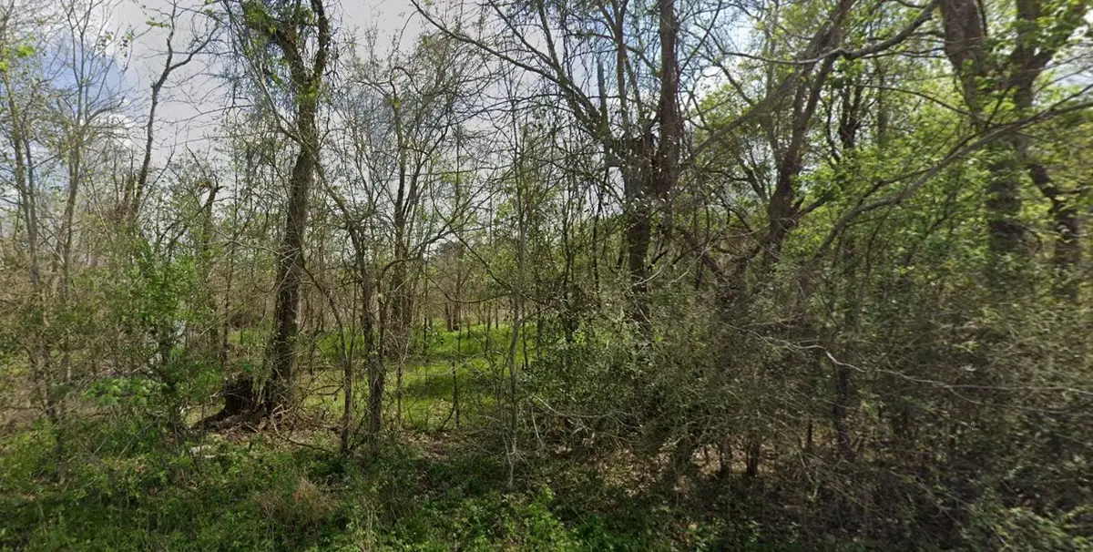 831 Drews Landing Rd, Goodrich, TX 77335 - Image #1