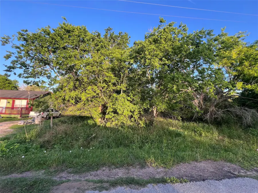000 10th Avenue, San Felipe, TX 77473 - Image #2