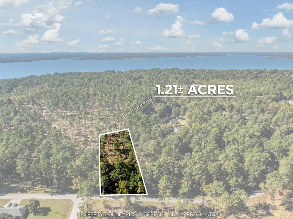 Lot 4 Pintail Drive, Flint, TX 75762 - Image #1