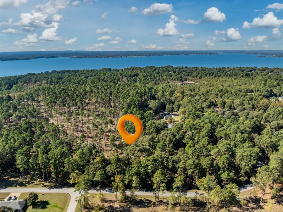 Lot 4 Pintail Drive, Flint, TX 75762 - Image #2