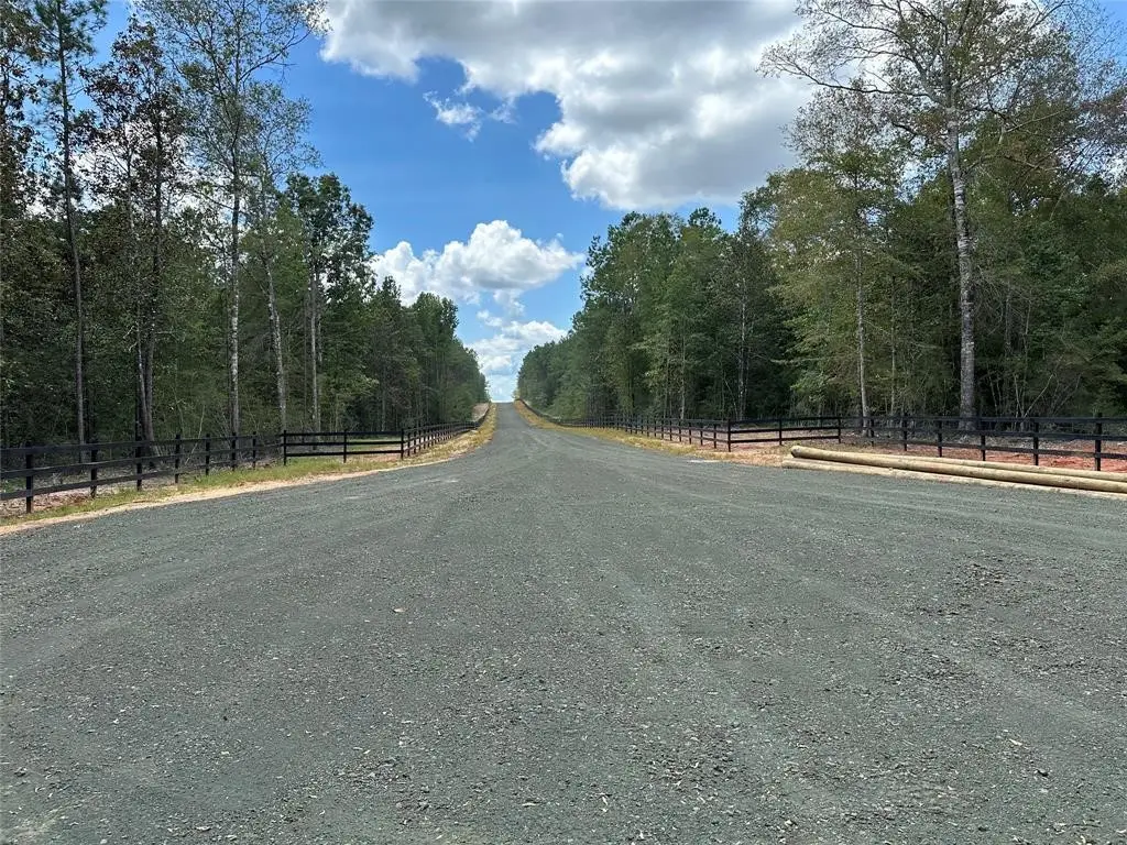 Tract 7A Timberland Branch Drive, Woodville, TX 75979 - Image #1