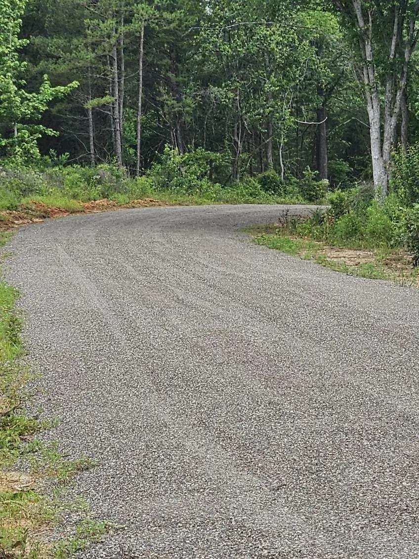 3173 County Road 415, Tyler, TX 75704 - Image #3