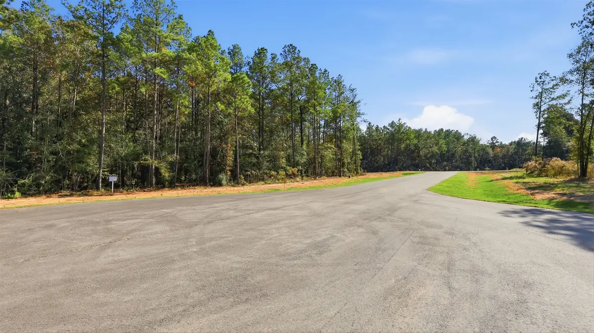 25219 Chisos Bend, Montgomery, TX 77316 - Image #1