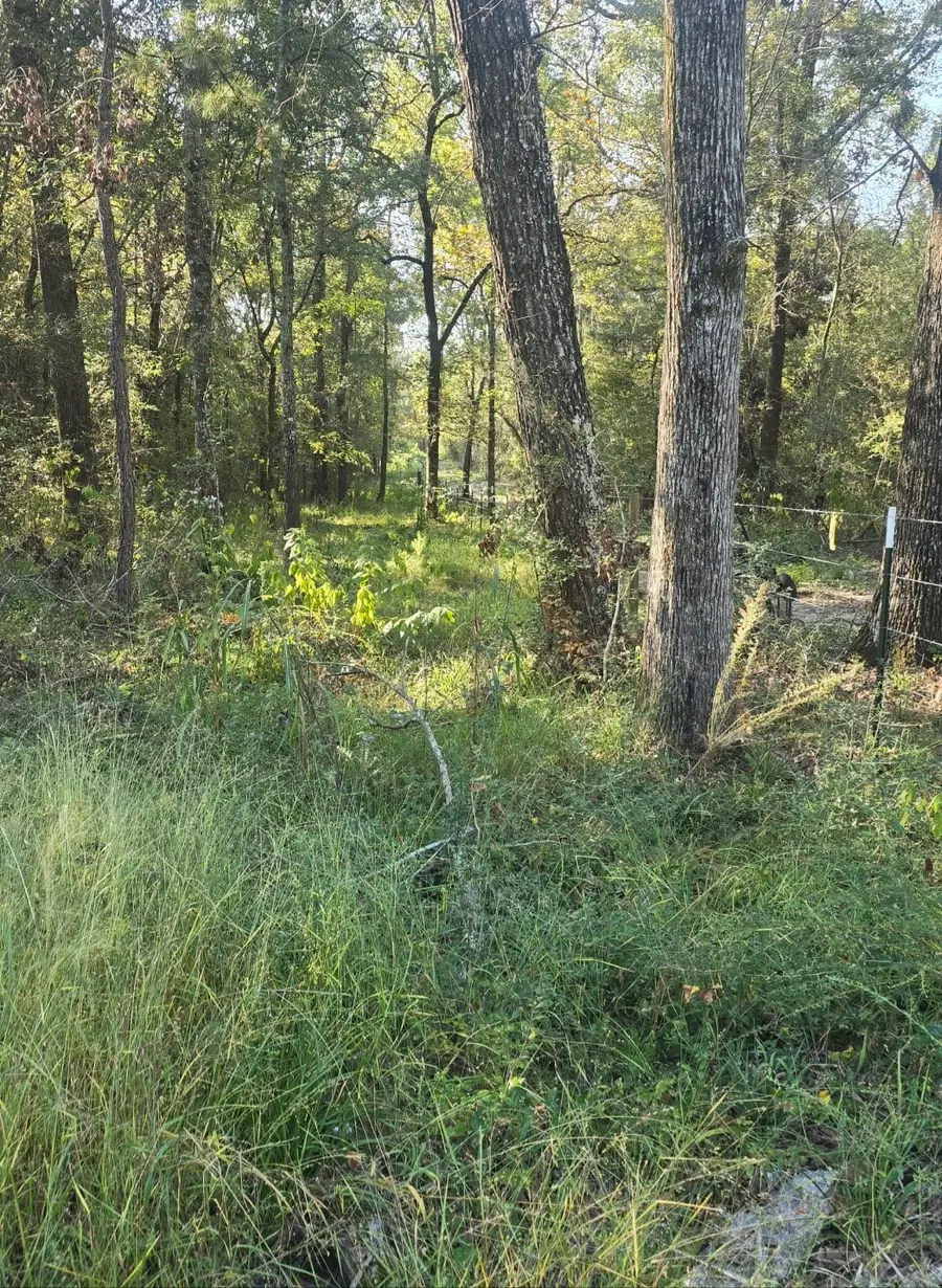 0 TBD Hwy 150 W, Coldspring, TX 77331 - #3