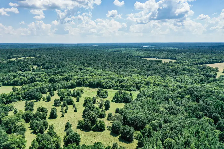 150 Acres Fm 1374, Huntsville, TX 77340 - Image #3