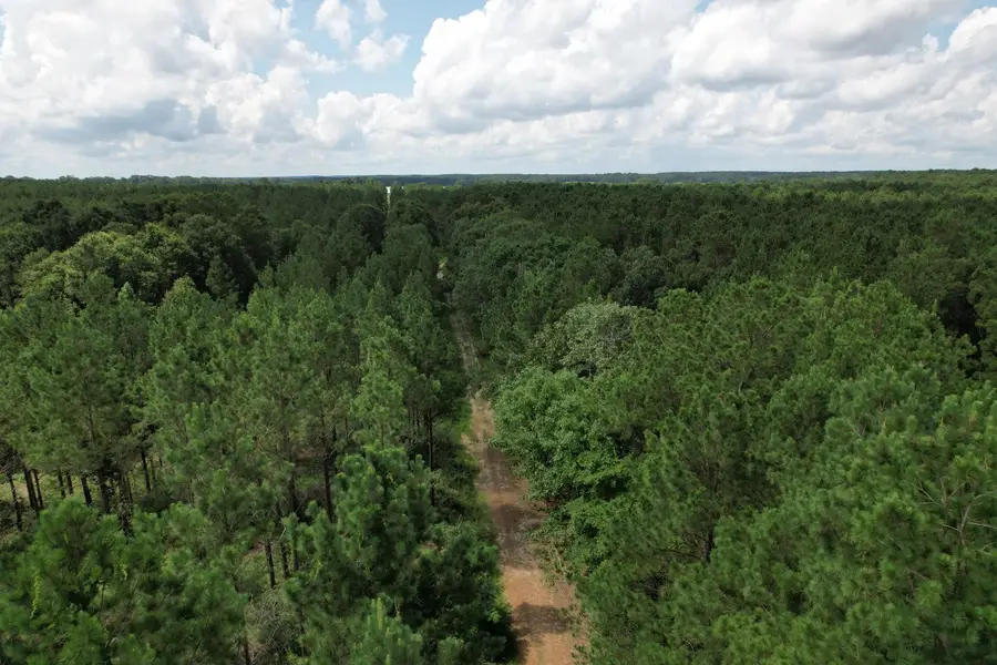 TBD County Road 3706, Tenaha, TX 75974 - Image #3