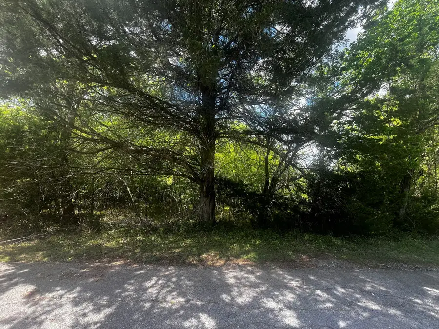 51 Timber Cove Lane, Coldspring, TX 77331 - #2