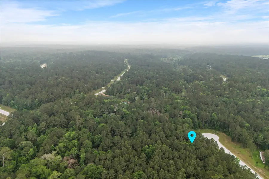 21-29-11 Diamond Lane, Huntsville, TX 77340 - Image #2