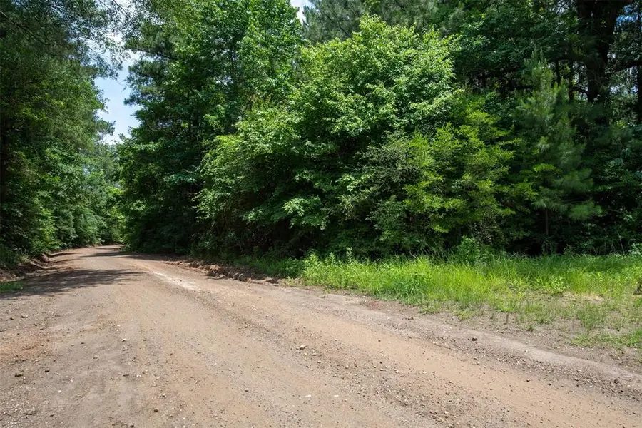 tbd Co Road 2150, Woodville, TX 75979 - Image #2