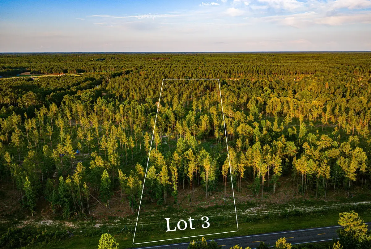 TBD lot 3 Fm 1276, Livingston, TX 77351 - #1