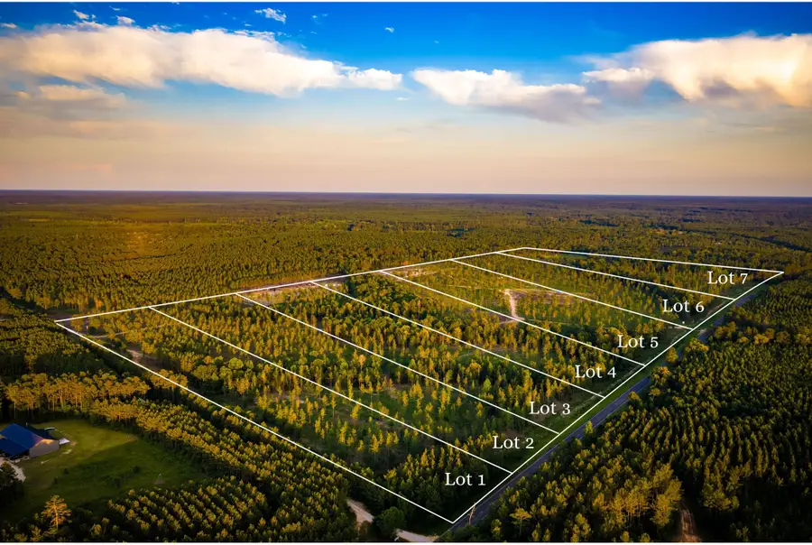 TBD lot 3 Fm 1276, Livingston, TX 77351 - #2