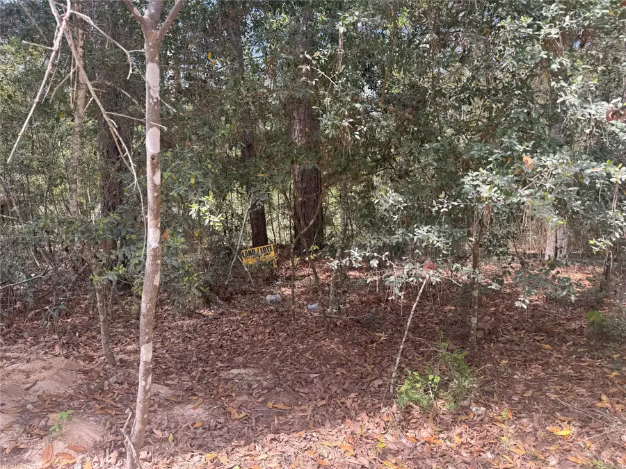 TBD Big Foot Wallace Trail, Livingston, TX 77351 - #3