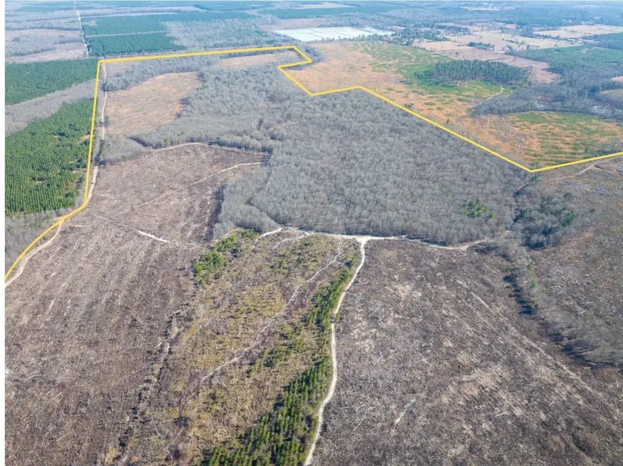 000 Highway 37, Bagwell, TX 75412 - Image #2