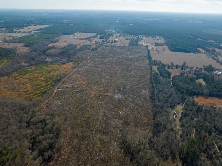 000 Highway 37, Bagwell, TX 75412 - Image #3