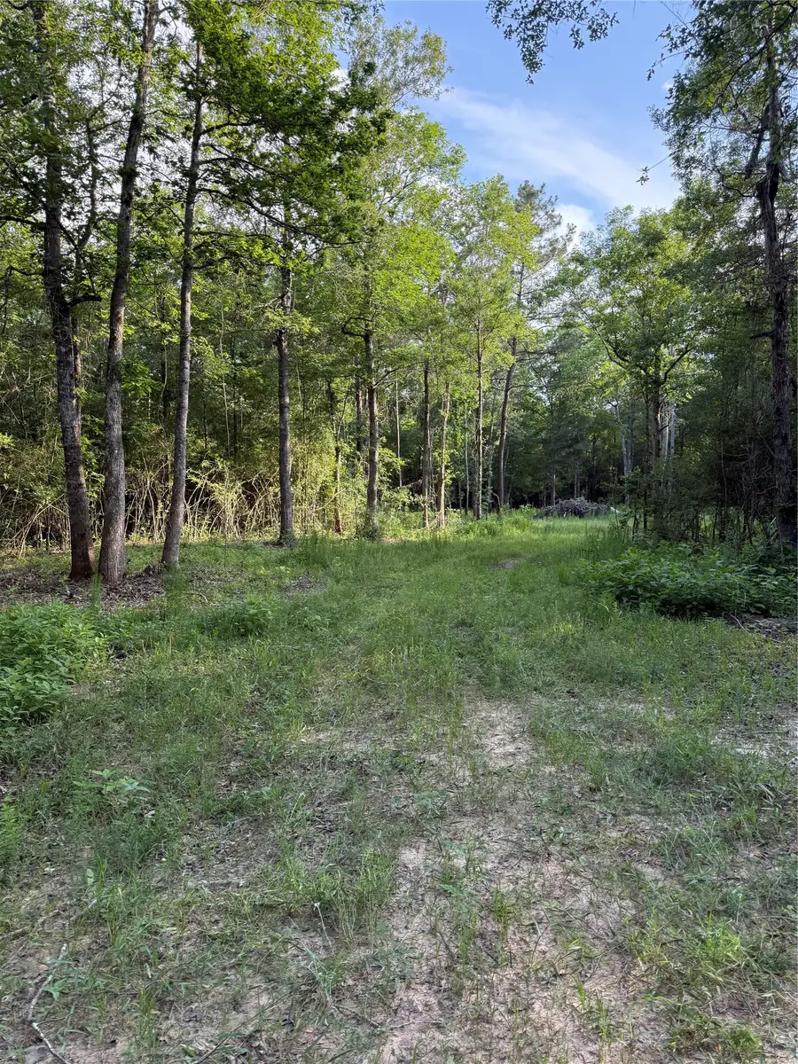 TBD E Capps Road Road, Livingston, TX 77351 - #2