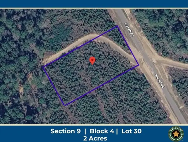 16163 Forest Mill Road, Willis, TX 77378