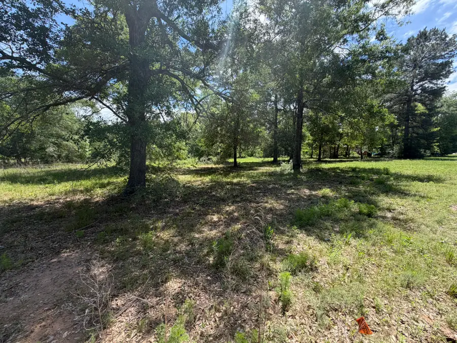 3871 Highline Oaks E, Conroe, TX 77306 - #3