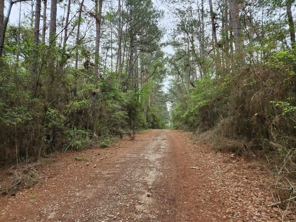 Lot 25 North Council Drive, Hempstead, TX 77445 - #1