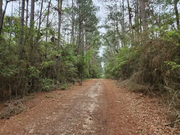 Lot 25 North Council Drive, Hempstead, TX 77445